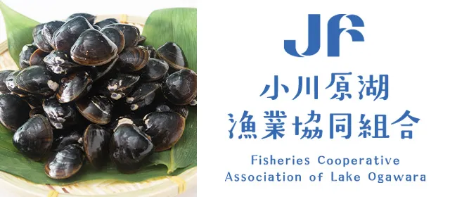小川原湖漁業協同組合