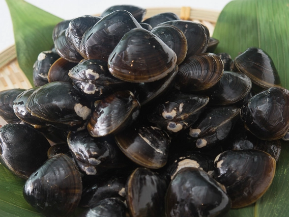 イメージ写真01