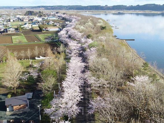 イメージ写真02